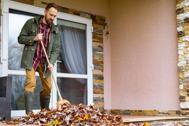 Best Electronics Removal Services  in Chevy Chase View, MD